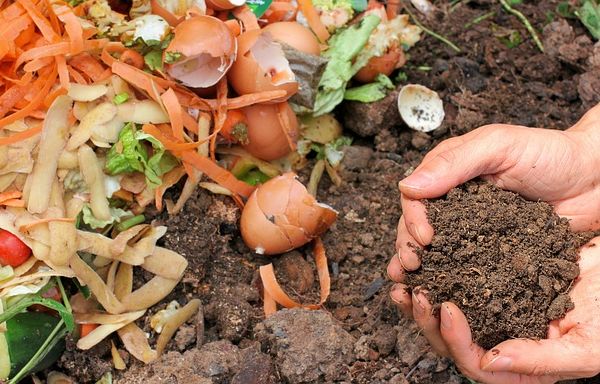 compost composter en ville